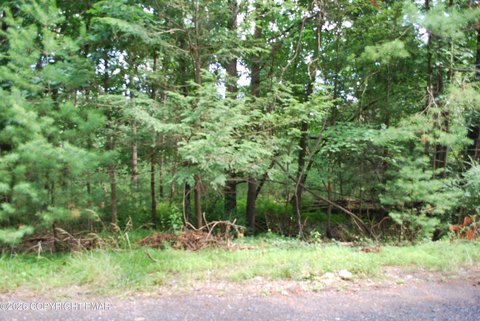 Wooded Residential Home Site