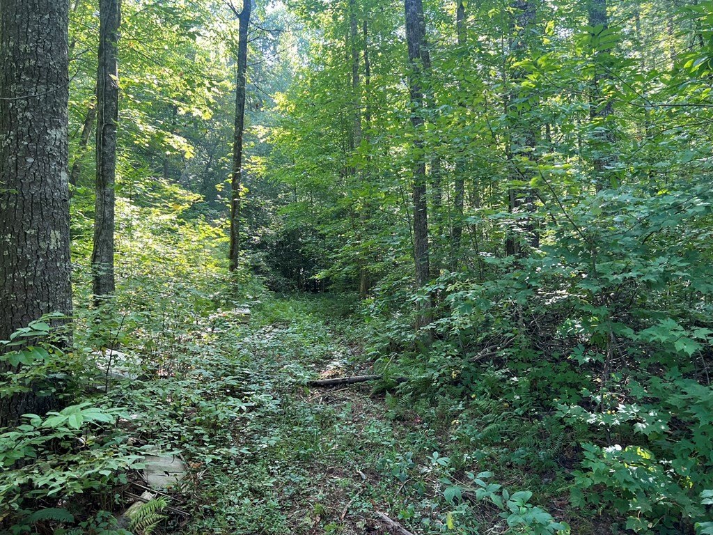 Picture 4