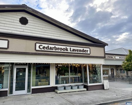 Lavender Business Opportunity in Sequim