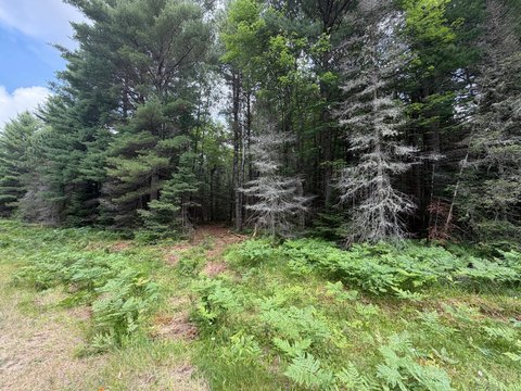 Land, Eagle River, WI