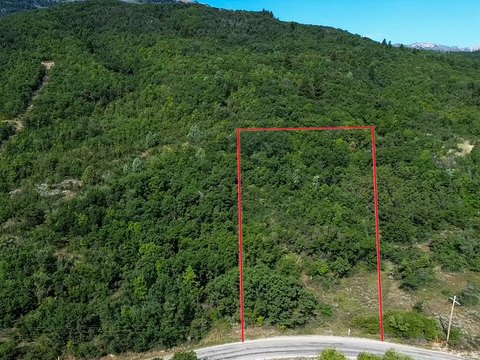 9.96 Acre Liberty Land Parcel