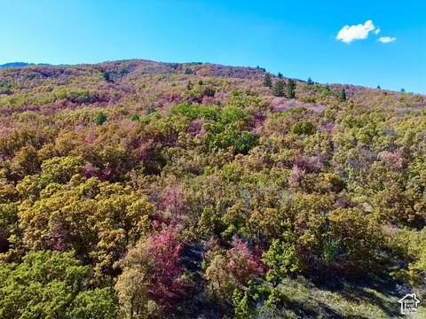 9.96 Acre Liberty Land Parcel