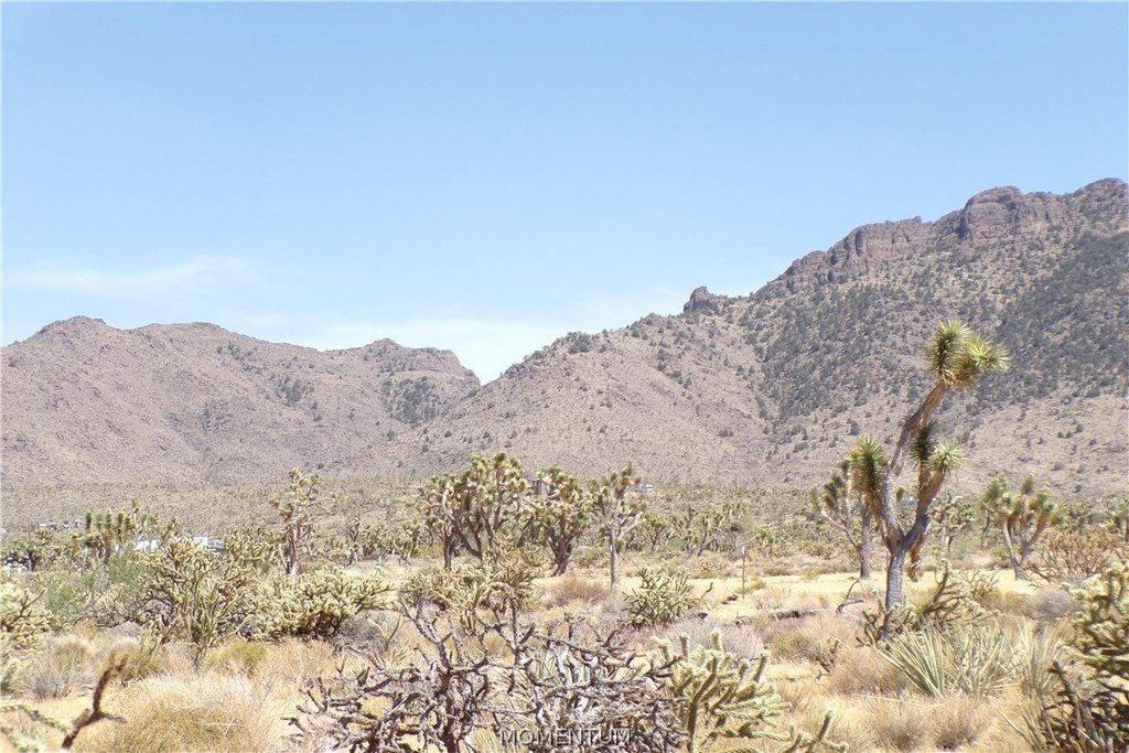 Picture 20