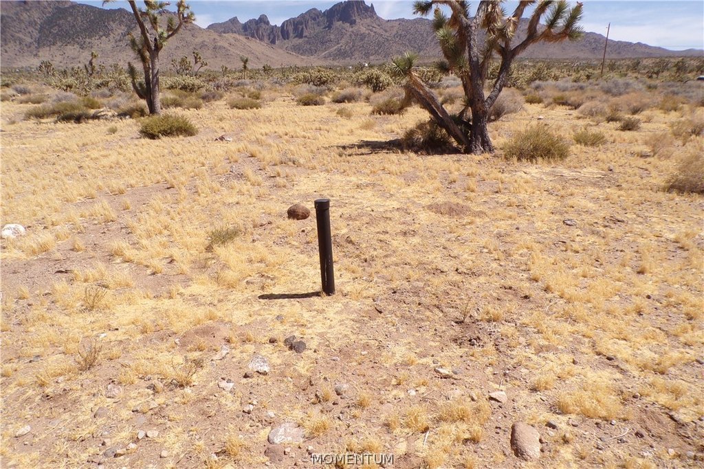 Picture 14