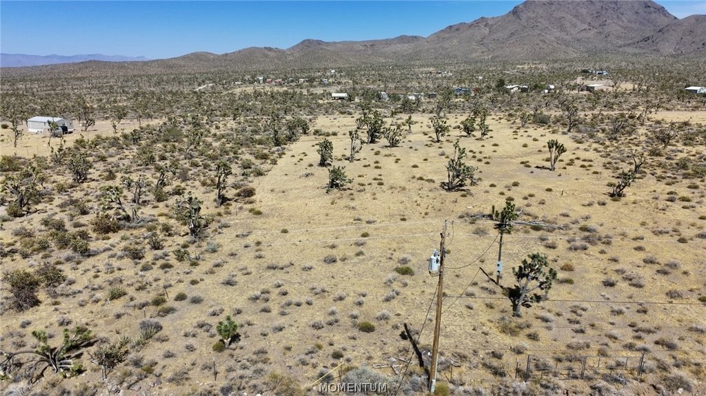 Picture 33