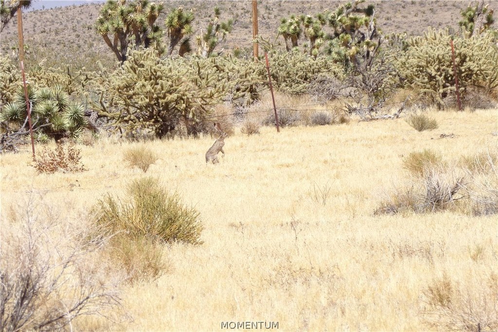 Picture 24