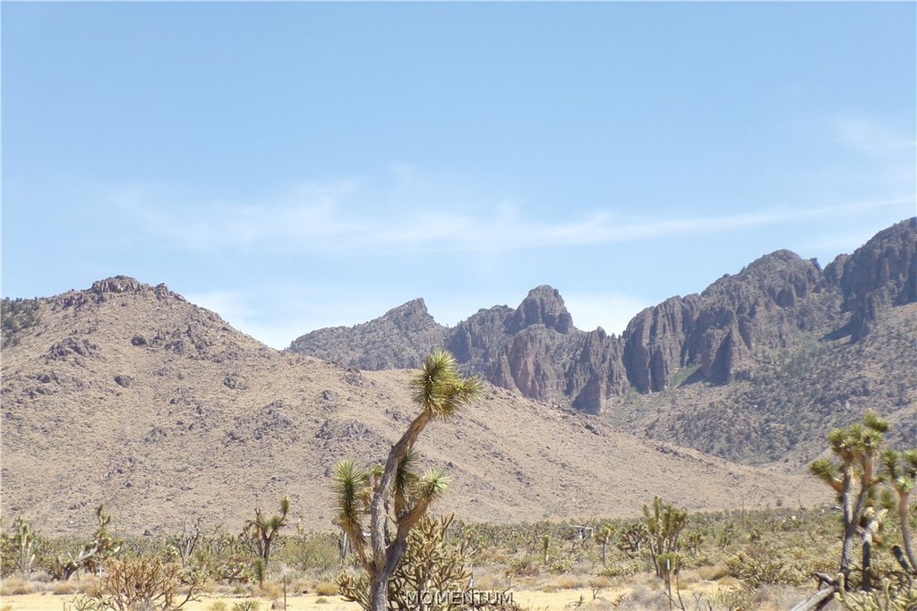 Picture 25