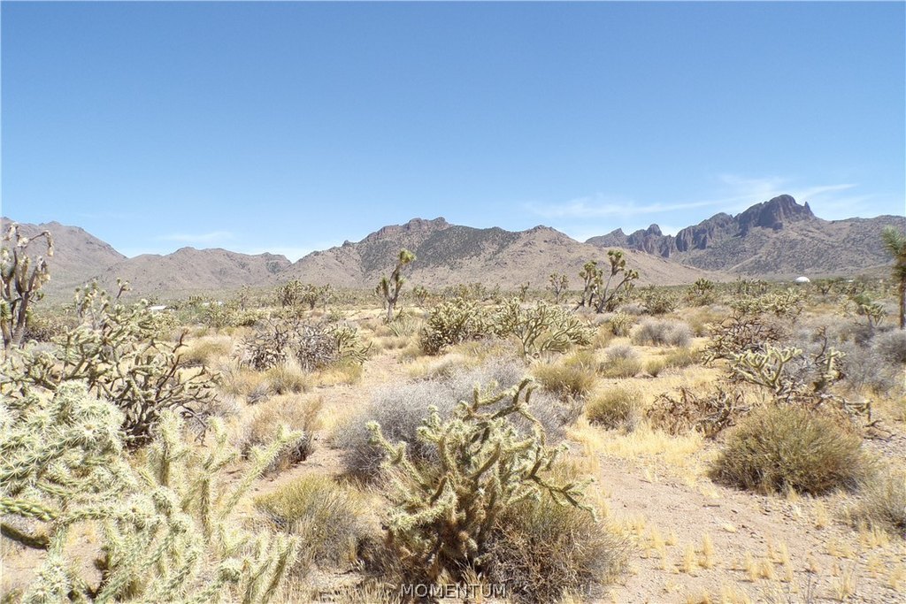 Picture 21