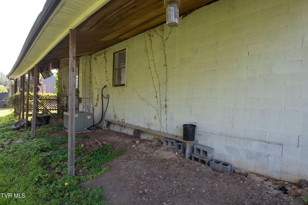 Picture 11