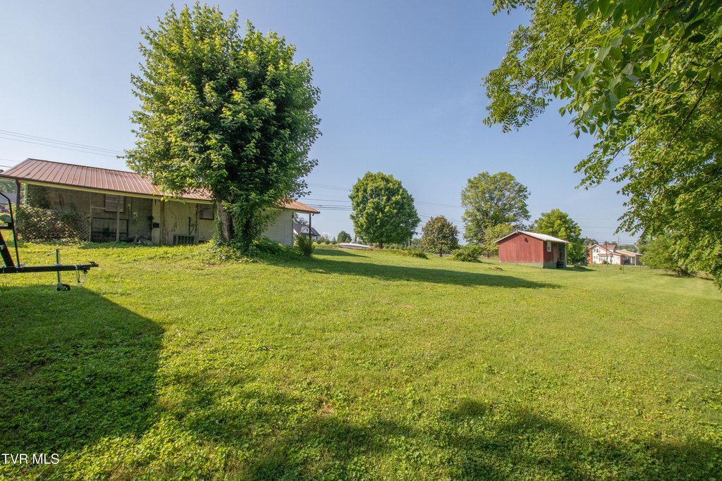 Picture 8