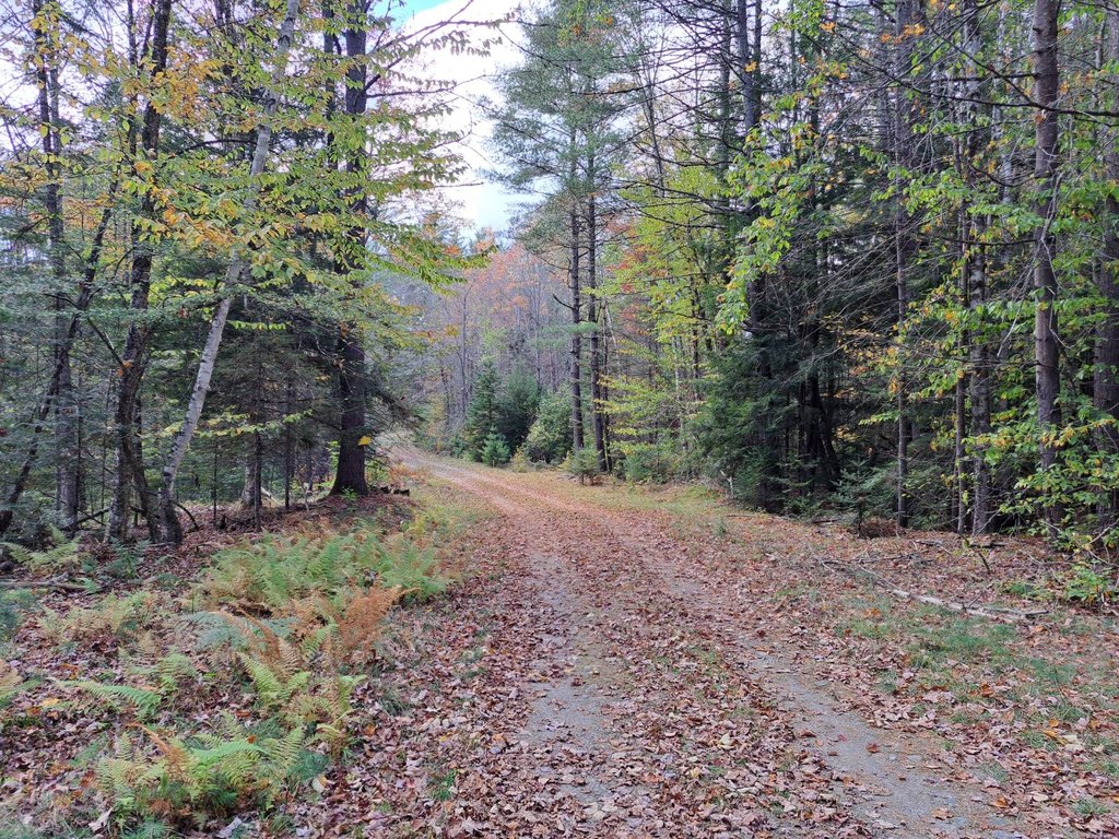 Picture 19