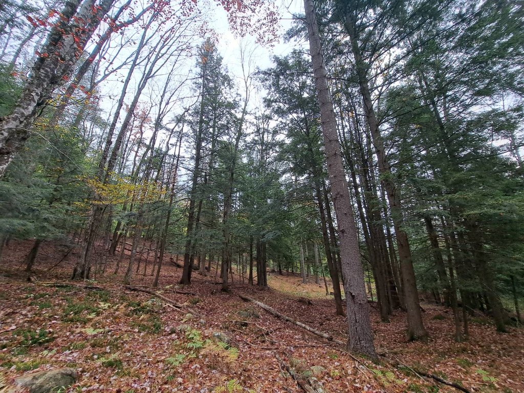 Picture 39