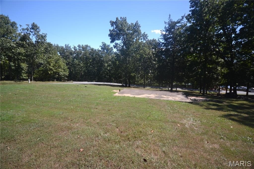 Picture 2