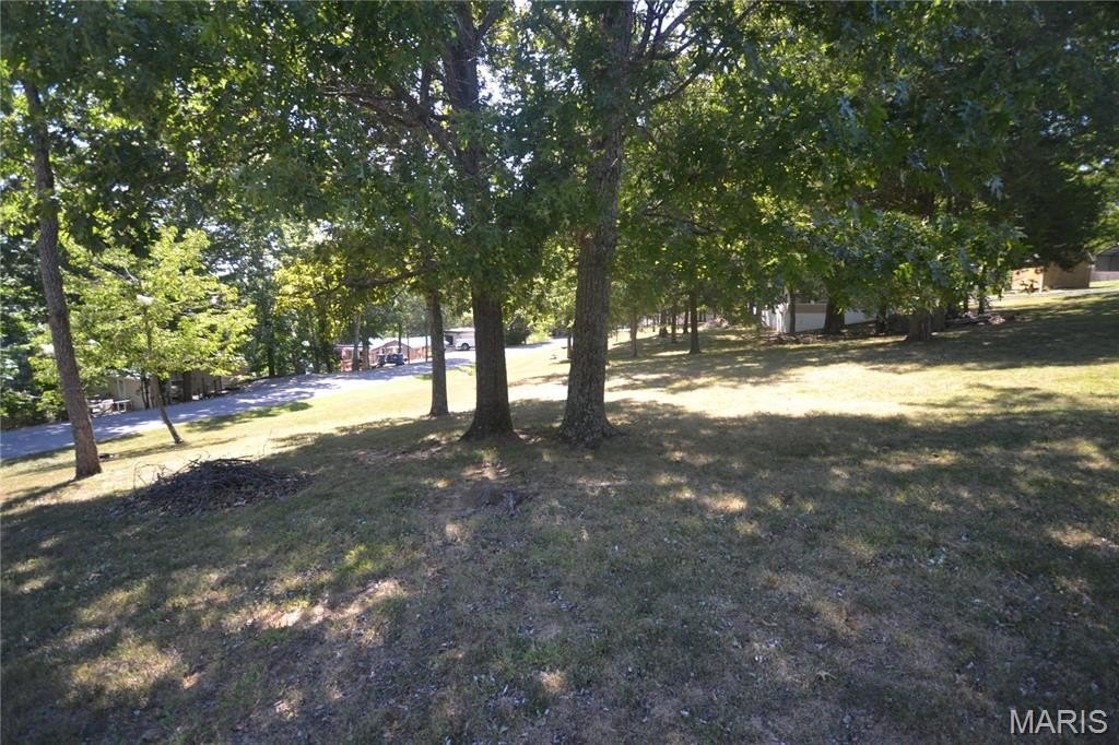 Picture 6