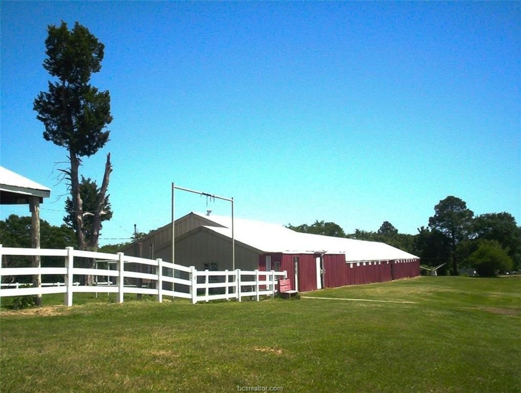 Picture 5