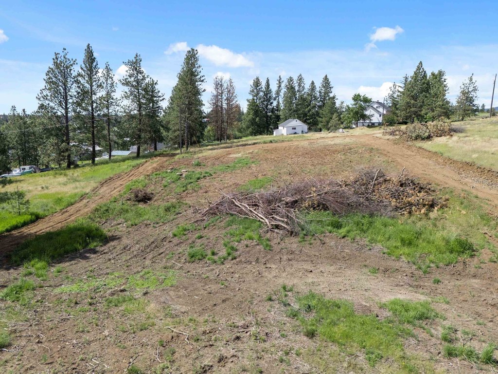 Picture 21