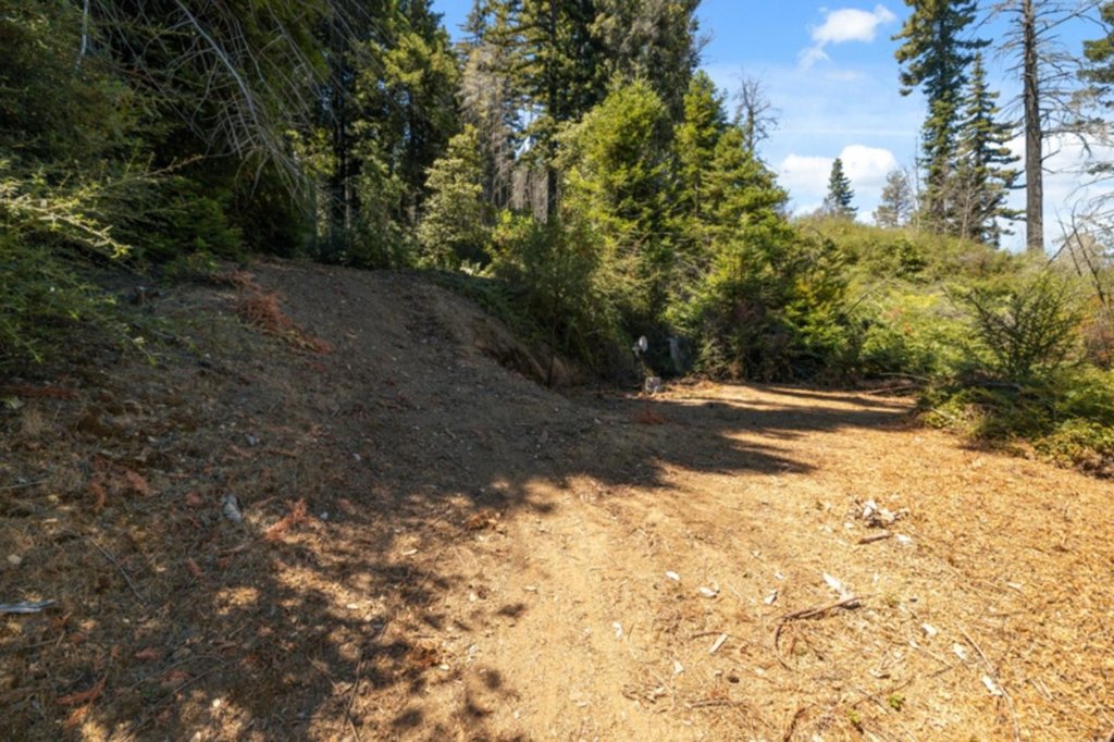 Picture 13