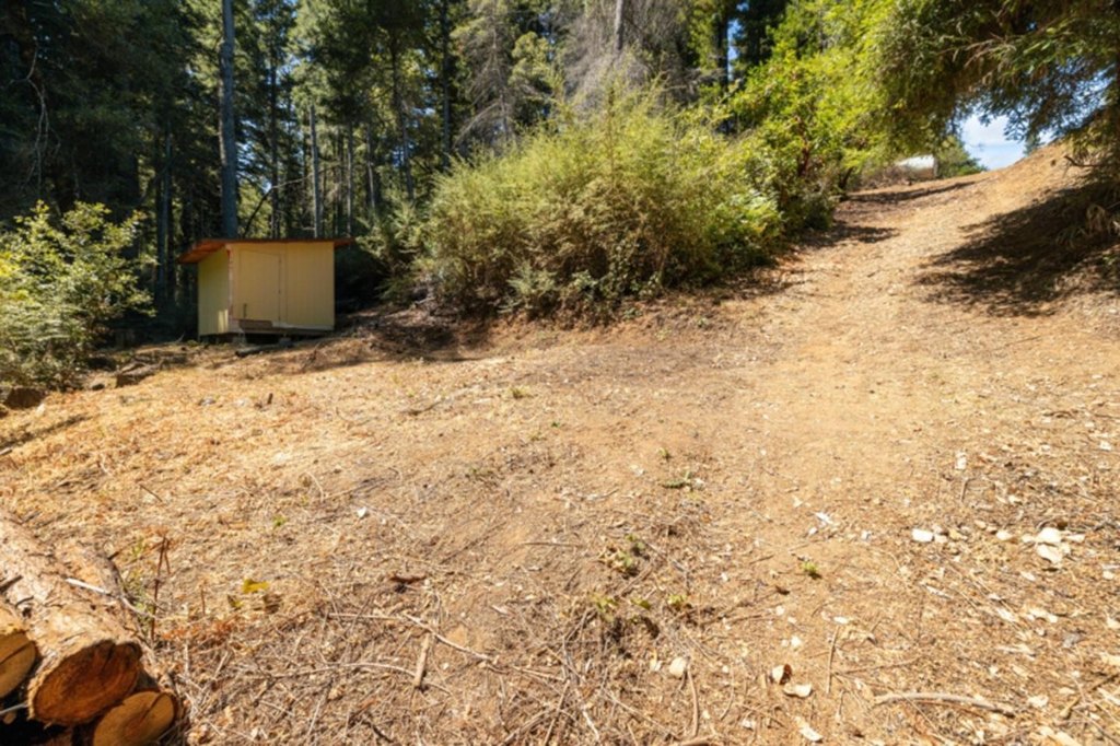 Picture 7