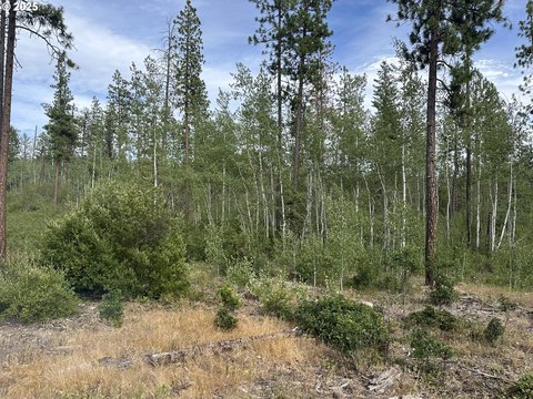 80 Acres Near Columbia River
