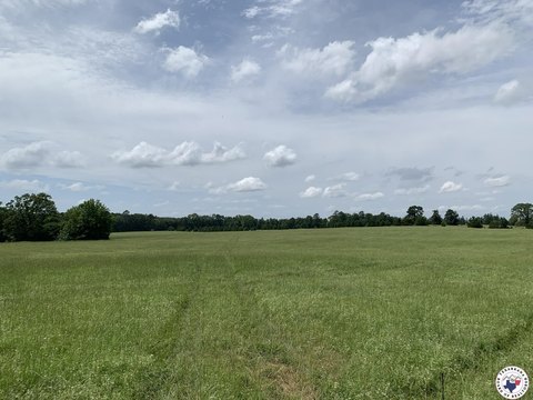 Pasture Land with Natural Creek
