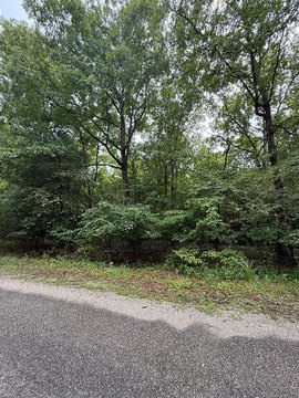 Wooded Lot in Quiet Development