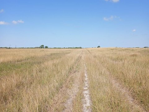 10 Acre Lot in Blessing, TX