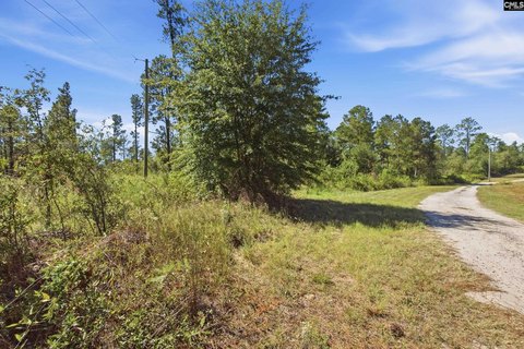 LOTS AND ACREAGE, Gilbert, SC