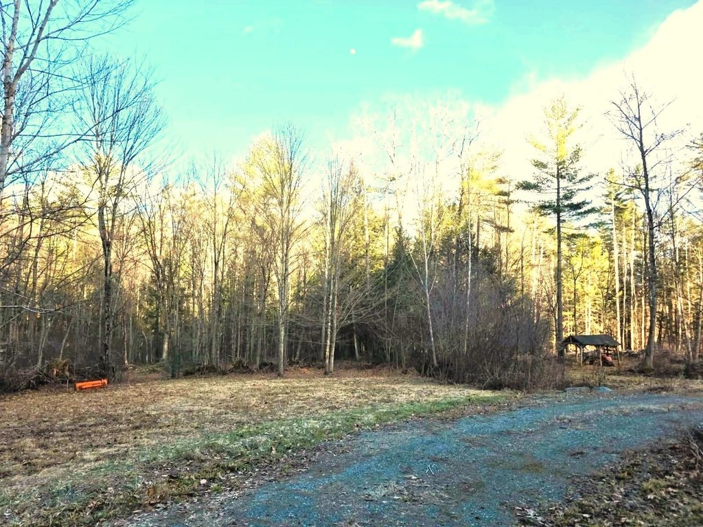 Picture 11