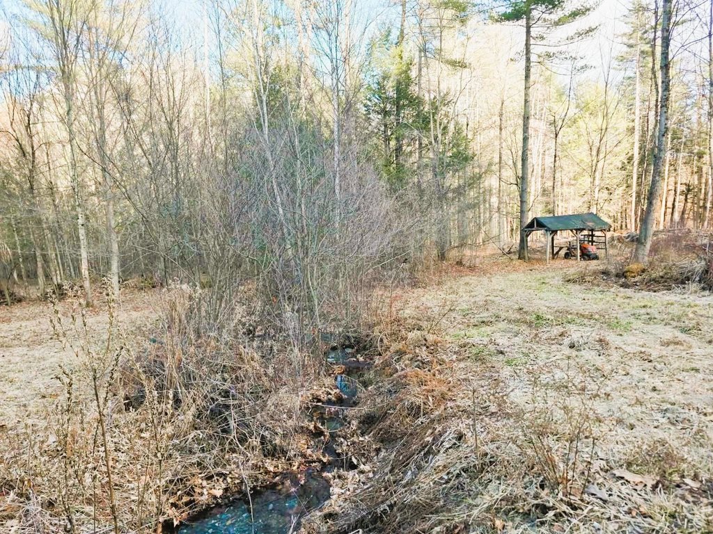 Picture 7