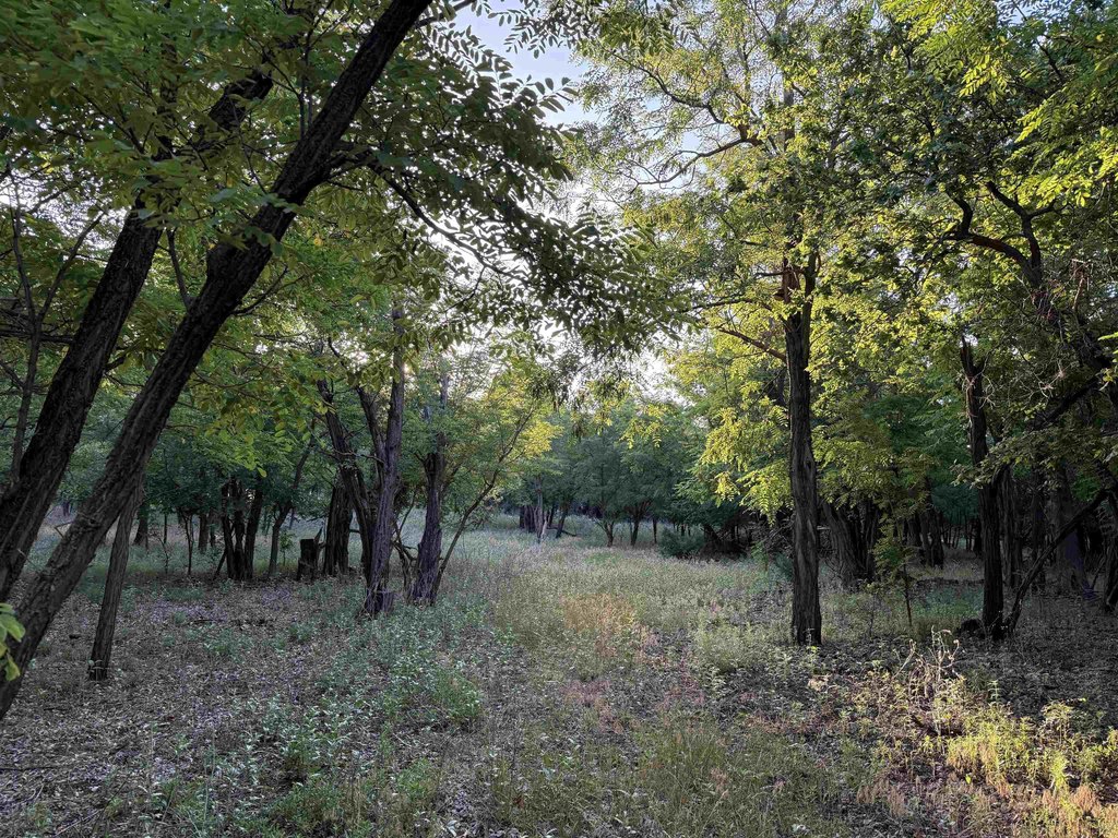 Picture 9
