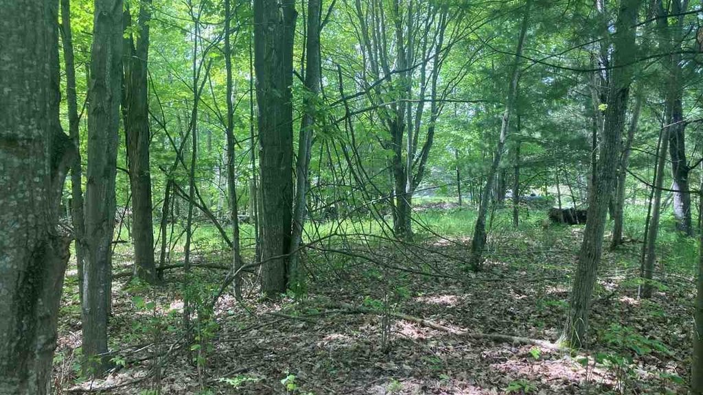 Picture 7