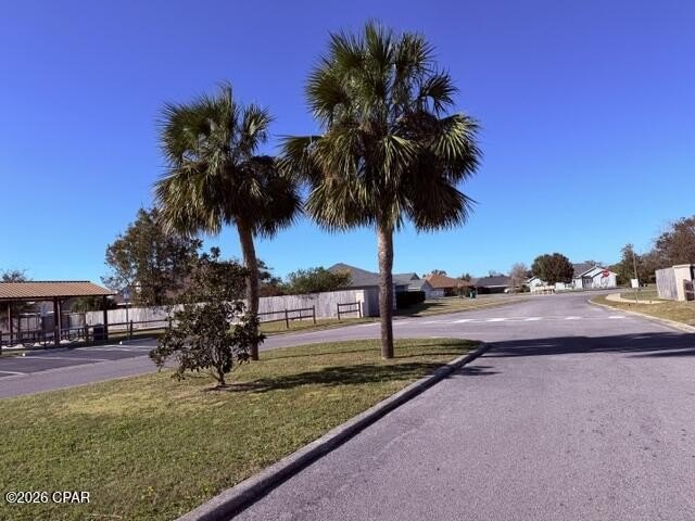 Picture 11