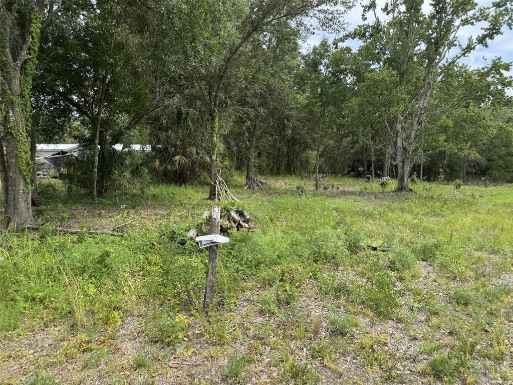 Picture 5