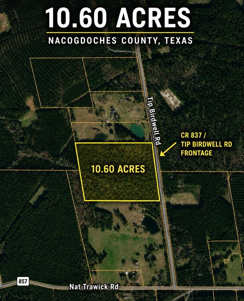 Nacogdoches Land For Sale
