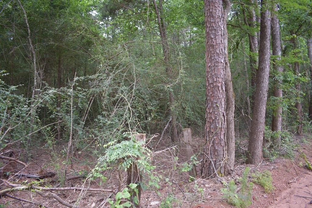 Picture 7