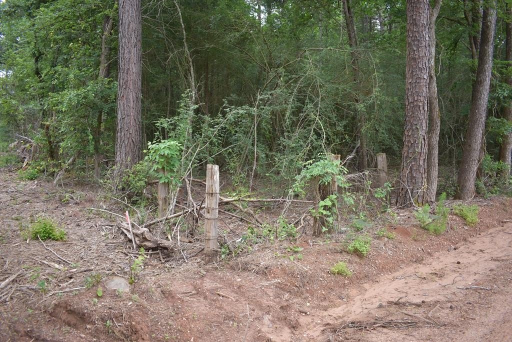 Picture 3