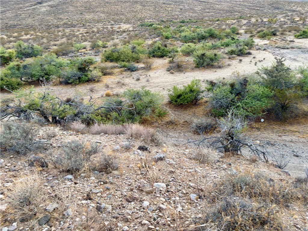 Picture 31