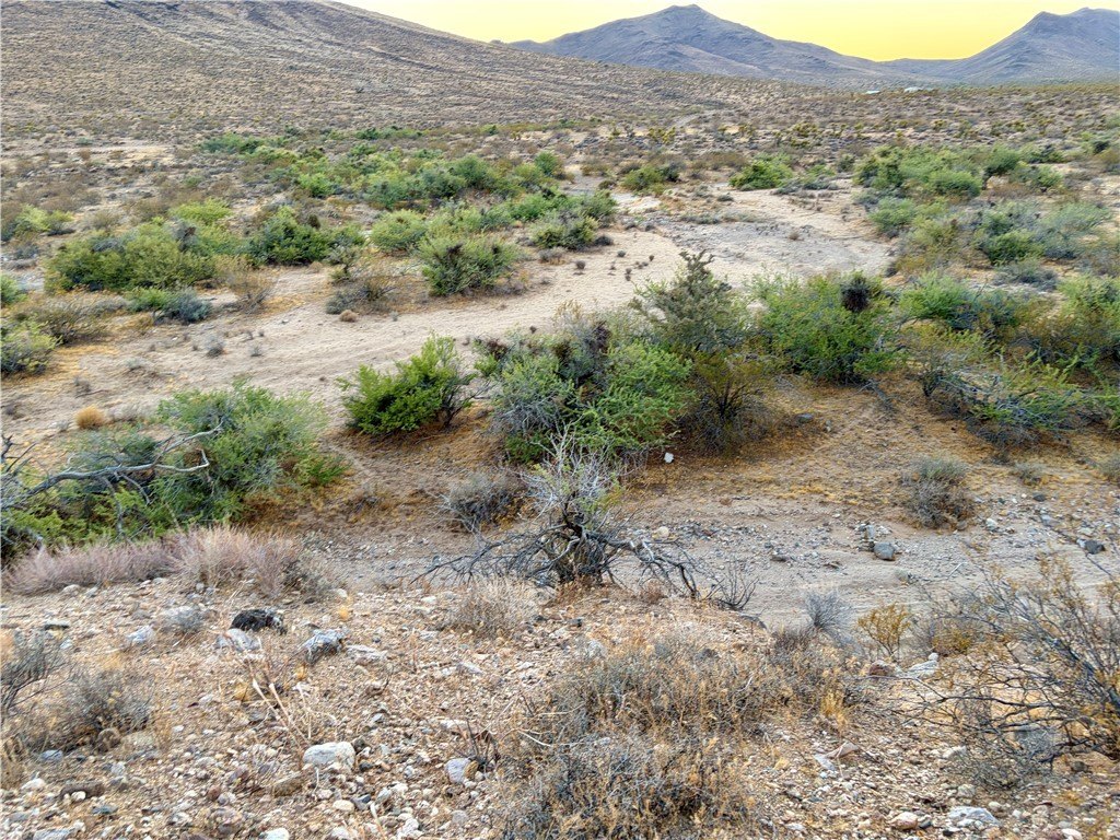 Picture 30