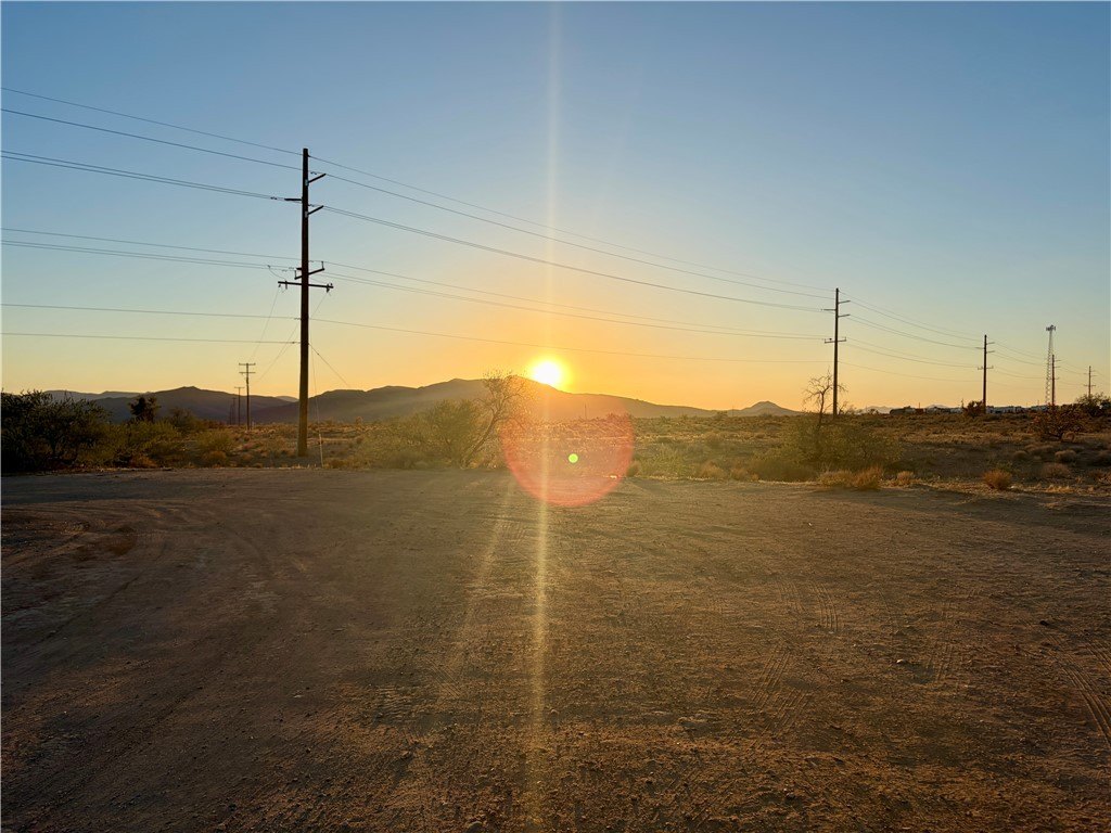 Picture 44