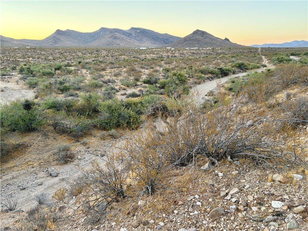Picture 28