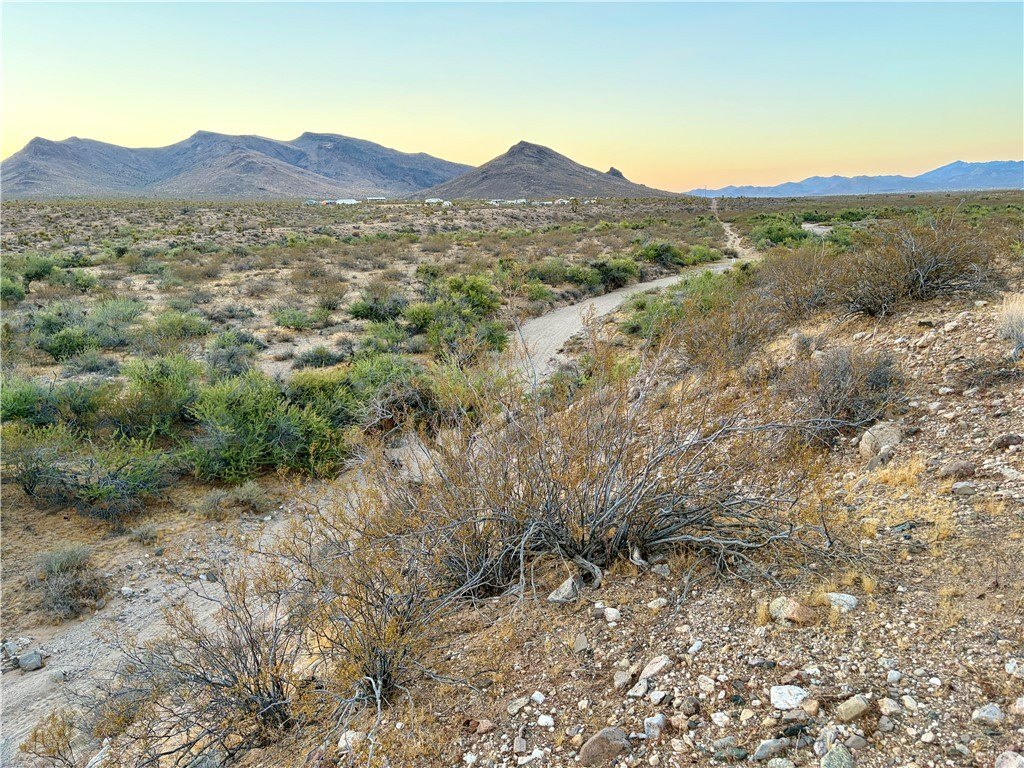 Picture 27