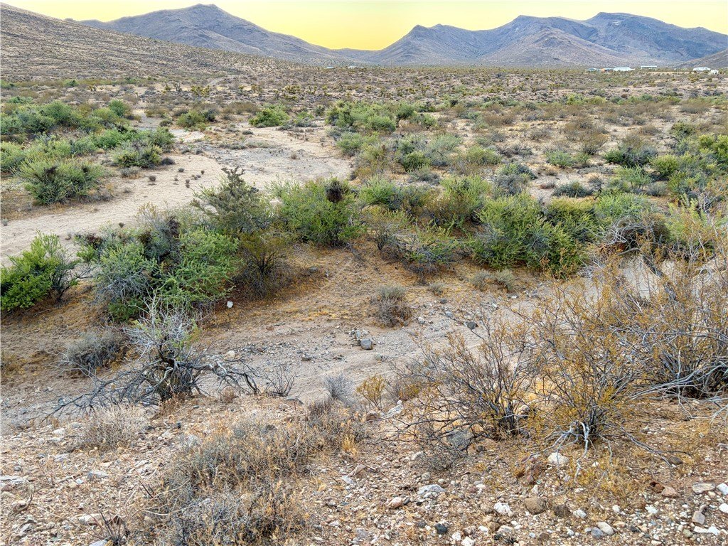 Picture 29