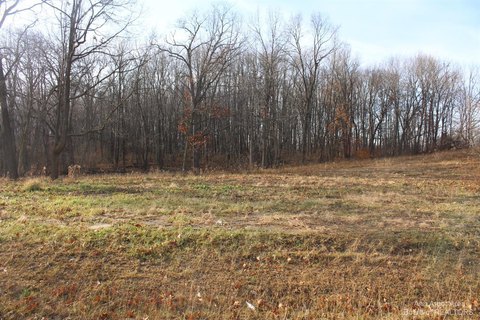 Residential Land in Jackson, MI