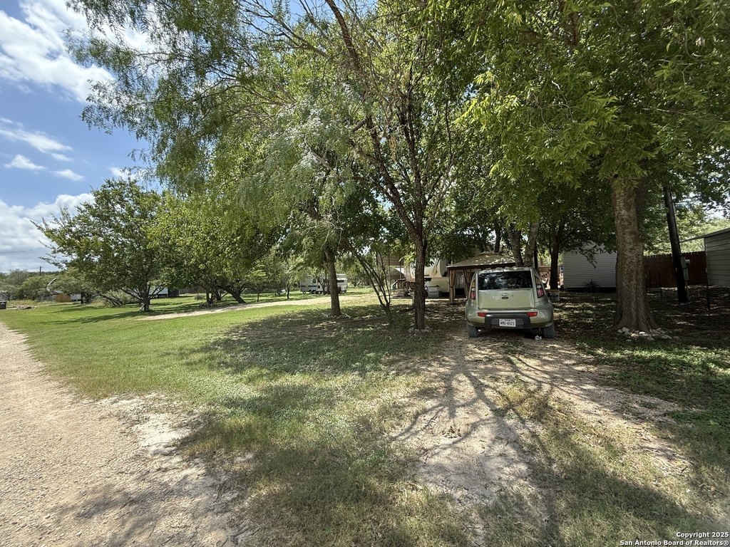Picture 5