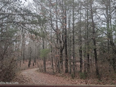 Crossville Commercial Land with Residence