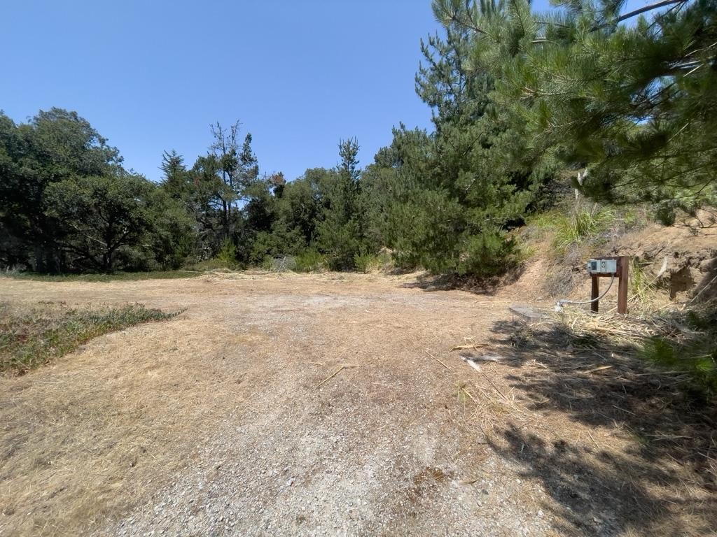 Picture 4