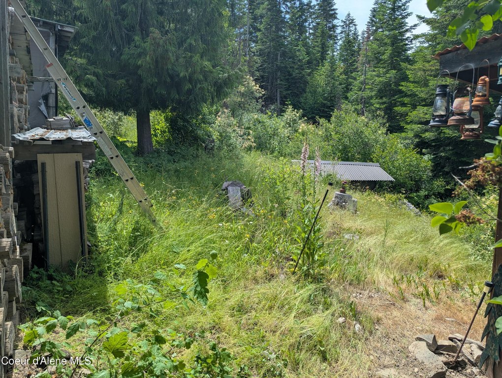 Picture 26