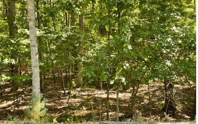 Blairsville Acreage with Mountain Views