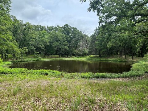 Wooded Homesite Near Cedar Creek