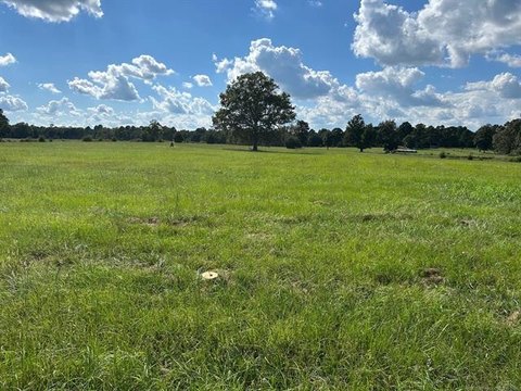 20 Acres Land in Welling, OK